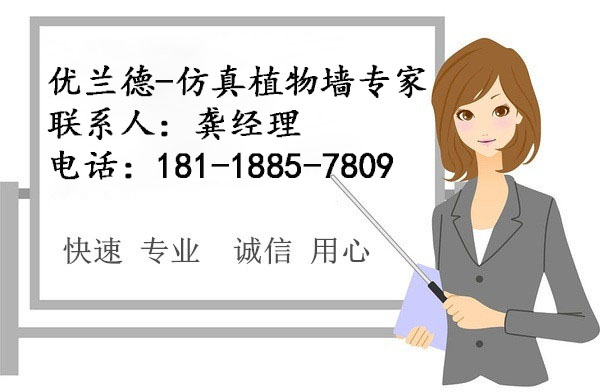 優(yōu)蘭德,仿真植物墻專家!