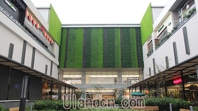 優(yōu)蘭德Uland,仿真植物墻專家!