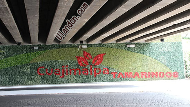 優(yōu)蘭德Uland,仿真植物墻專家!
