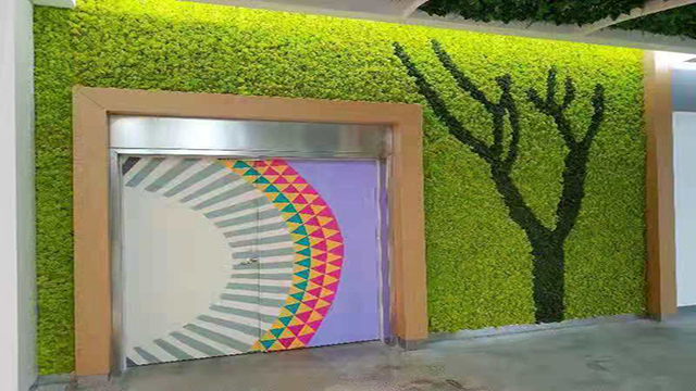 永生苔蘚植物墻
