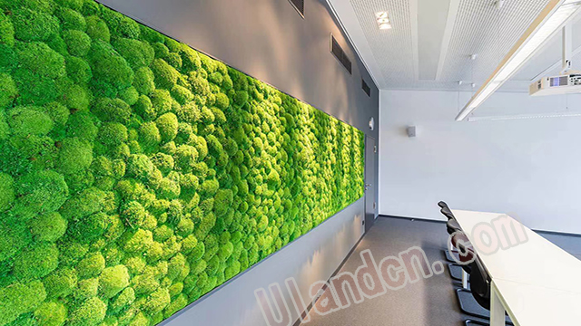永生苔蘚植物墻工程案例效果圖