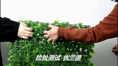 拉扯測試